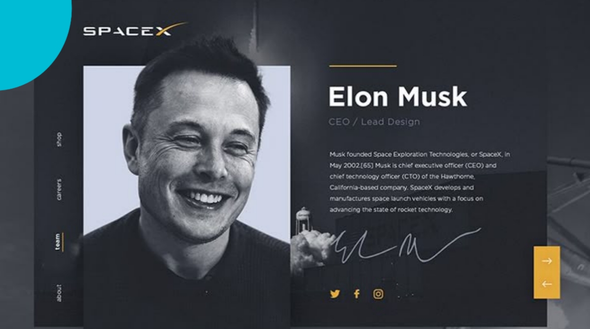 Portofolio Elon Musk